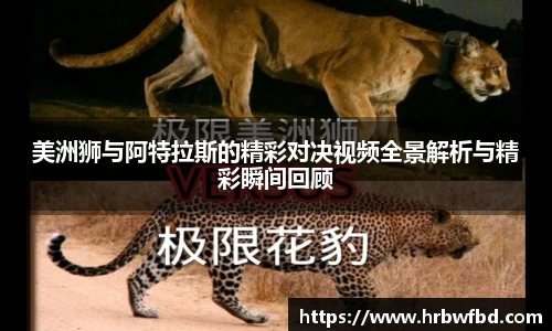 熊猫体育app官网入口